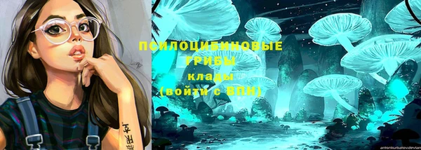 ECSTASY Алексин